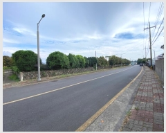  2024Ÿ��9381 ���� �������� ������ �Ϸʸ� 513      ���ð��