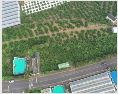  2024Ÿ��9381 ���� �������� ������ �Ϸʸ� 513      ���ð��