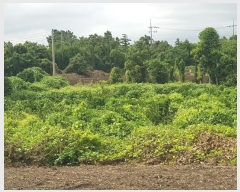  2024Ÿ��10107 ���� �������� ������ ������ 2387-1      ����(������)���