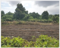  2024Ÿ��10107 ���� �������� ������ ������ 2387-1      ����(������)���