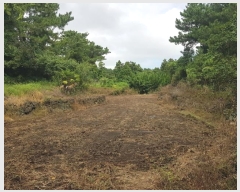  2024Ÿ��10107 ���� �������� ������ ������ 2387-1      ����(������)���