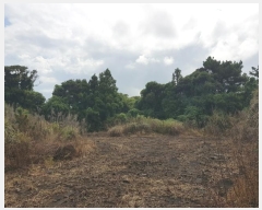  2024Ÿ��10107 ���� �������� ������ ������ 2387-1      ����(������)���