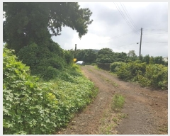  2024Ÿ��10107 ���� �������� ������ ������ 2387-1      ����(������)���