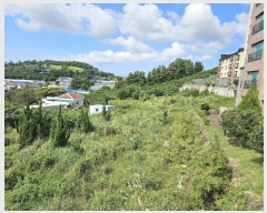  2024Ÿ��10602  ���������