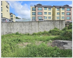  2024Ÿ��10602  ���������