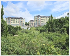  2024Ÿ��10602  ���������