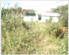  2024Ÿ��10602  ���������