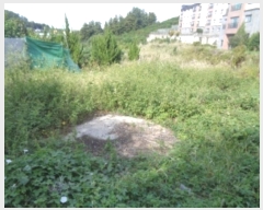  2024Ÿ��10602  ���������