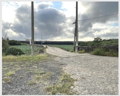  2024Ÿ��11377 ���� �������� ������ ������ 580      ����(��1)���