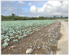  2024Ÿ��11377 ���� �������� ������ ������ 580      ����(��1)���