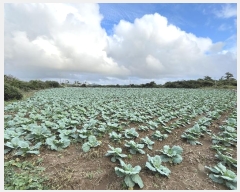  2024Ÿ��11377 ���� �������� ������ ������ 580      ����(��1)���