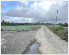  2024Ÿ��11377 ���� �������� ������ ������ 580      ����(��1)���