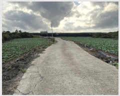  2024Ÿ��11377 ���� �������� ������ ������ 580      ����(��1)���