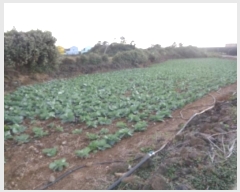  2024Ÿ��11377 ���� �������� ������ ������ 580      ����(��1)���