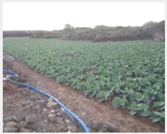  2024Ÿ��11377 ���� �������� ������ ������ 580      ����(��1)���