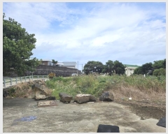  2024Ÿ��11452  �����