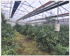  2024Ÿ��12172 ���� �������� ��ȿ�� 1058       ����(������)���