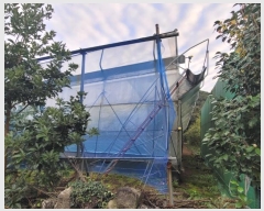  2024Ÿ��12172 ���� �������� ��ȿ�� 1058       ����(������)���