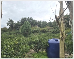  2024Ÿ12271  ֽ õ ̸ 354      ,â