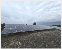  2024Ÿ12271  ֽ õ ̸ 354      ,â