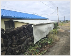  2024Ÿ12271  ֽ õ ̸ 354      ,â