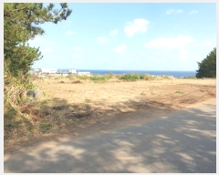  2024Ÿ12448  ֽ 쵵  418      (Ӿ)