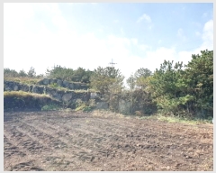  2024Ÿ12448  ֽ 쵵  418      (Ӿ)