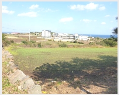  2024Ÿ12448  ֽ 쵵  418      (Ӿ)