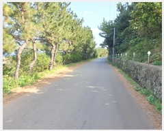  2024Ÿ12448  ֽ 쵵  418      (Ӿ)