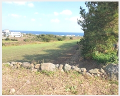  2024Ÿ12448  ֽ 쵵  418      (Ӿ)