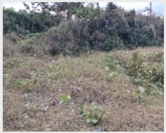  2024Ÿ��12615  �����