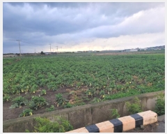  2024Ÿ��12691  �����