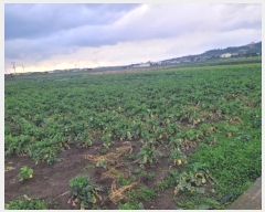  2024Ÿ��12691  �����