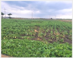  2024Ÿ��12691  �����