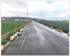  2024Ÿ��12691  �����