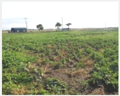  2024Ÿ��12691  �����