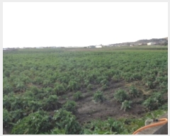  2024Ÿ��12691  �����