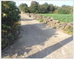  2024Ÿ��12998  �������