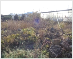  2024Ÿ��12998  �������