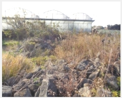  2024Ÿ��12998  �������