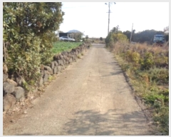  2024Ÿ��12998  �������