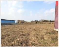  2024Ÿ13168  ֽ Ѹ 븮 3444      