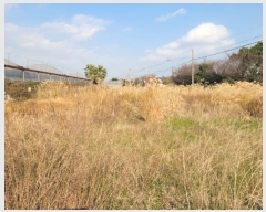  2024Ÿ13168  ֽ Ѹ 븮 3444      