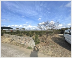  2024Ÿ��13250  �����