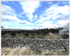  2024Ÿ��13250  �����