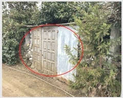  2024Ÿ��13250  �����