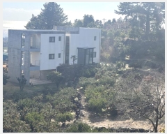  2024Ÿ��13526 ���� �������� ������102���� 62       �ٸ��ü�,�󰡰��