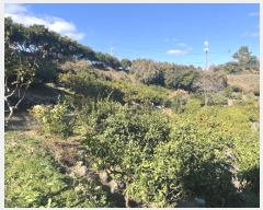  2024Ÿ��13526 ���� �������� ������102���� 62       �ٸ��ü�,�󰡰��