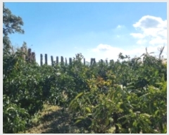  2024Ÿ14130    ŷʸ 1377-1      ()