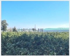  2024Ÿ14130    ŷʸ 1377-1      ()